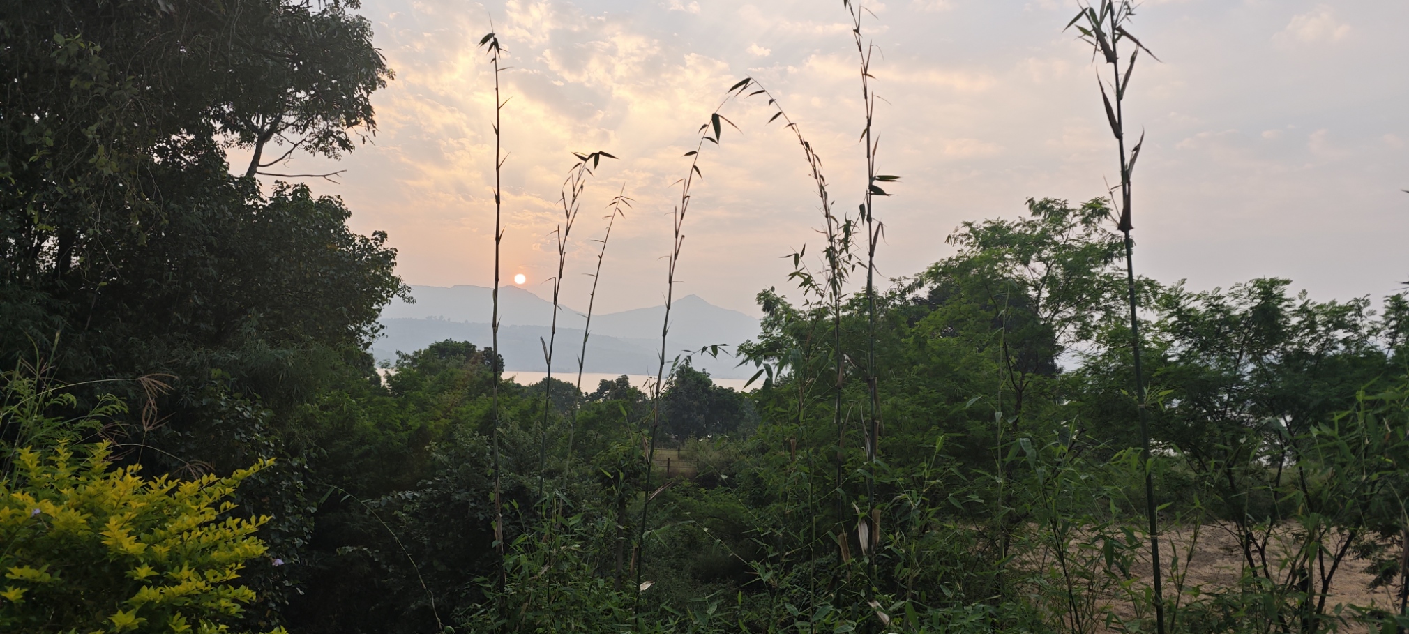 Industrial landscape