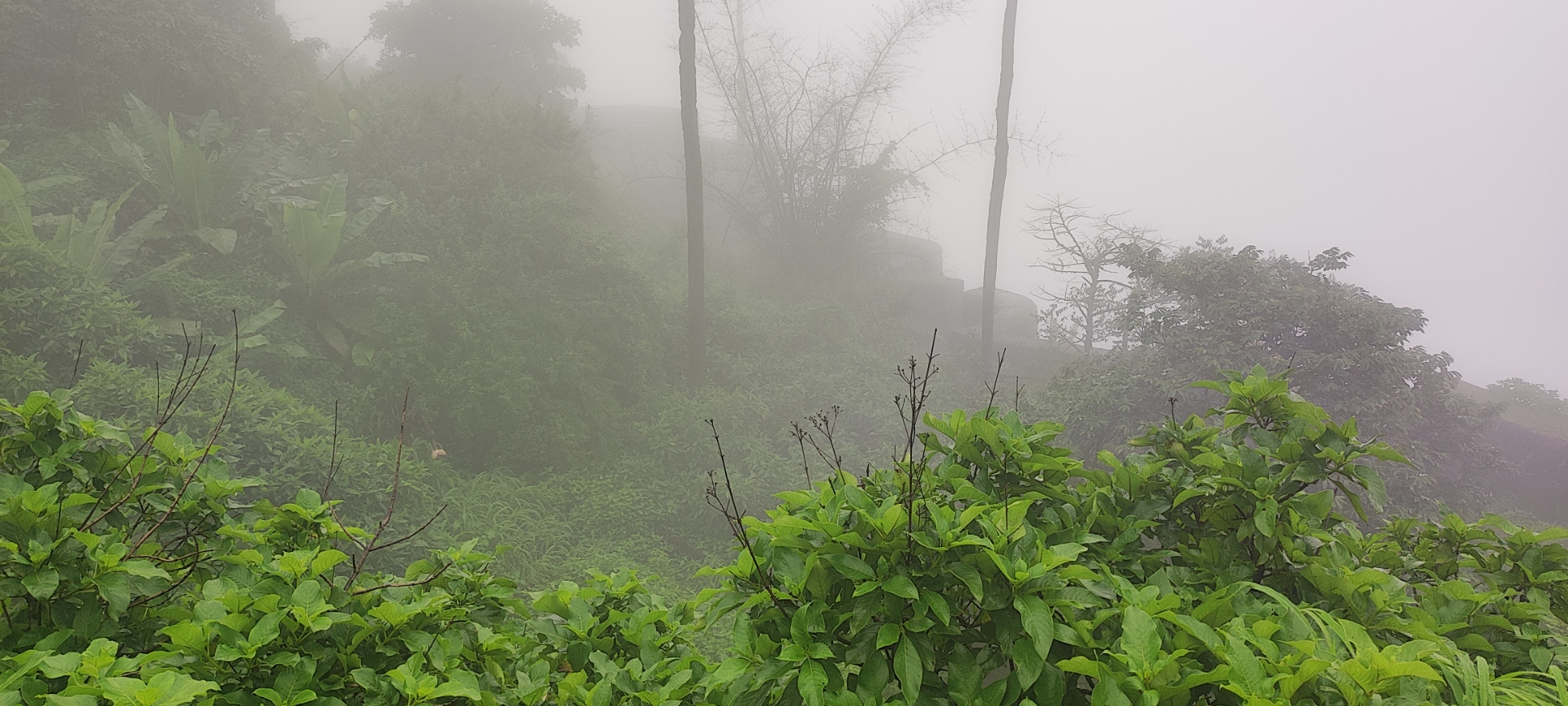 Landscape wallpaper 1