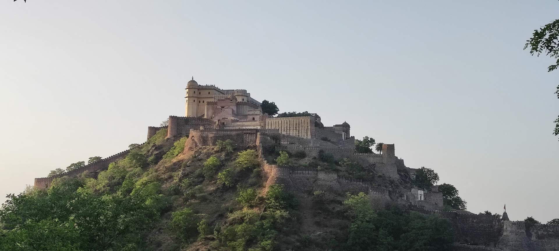 Medium quality wallpaper preview